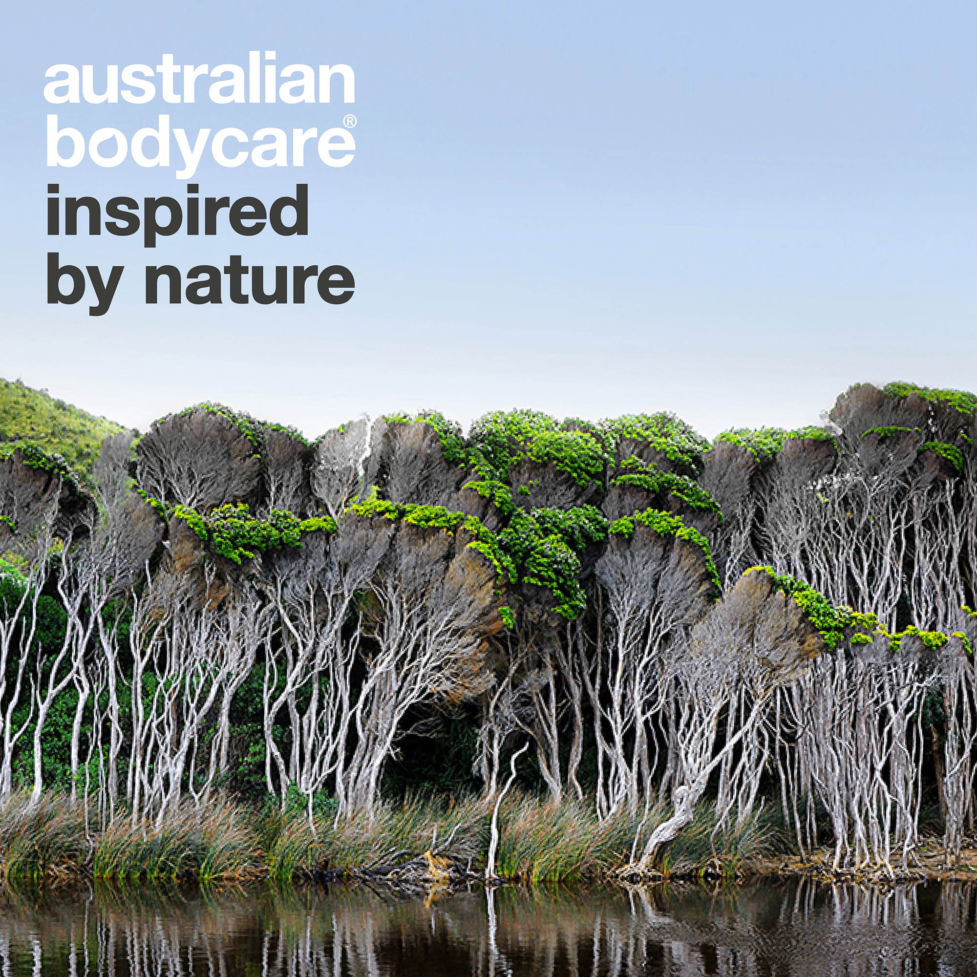 Australian Bodycare – inspired by nature: australijski krajobraz z drzewami herbacianymi