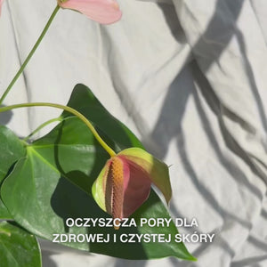 Zbliżenie na rękę wykonującą koliste ruchy delikatną silikonową szczoteczką Face Scrubber po lekko wilgotnej skórze twarzy: elastyczne włókna delikatnie złuszczają, dogłębnie oczyszczają, usuwają brud i martwe komórki, odsłaniając gładką strukturę i promienny wygląd.