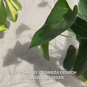 Zbliżenie na dłoń lekko potrząsającą kompaktową butelką sprayu do ust i rozpylającą cienką, nawilżającą mgiełkę na język i dziąsła—lekka, chłodząca mgiełka natychmiast odświeża oddech, nawilża suchą jamę ustną, koi podrażnienia i pozostawia świeże, miętowe uczucie.