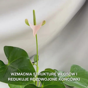 Odżywka Witamina B12 do włosów zniszczonych. Efekt bond wzmacnia i odbudowuje. Z witaminą B12, pantenolem i Elaya Renova™.