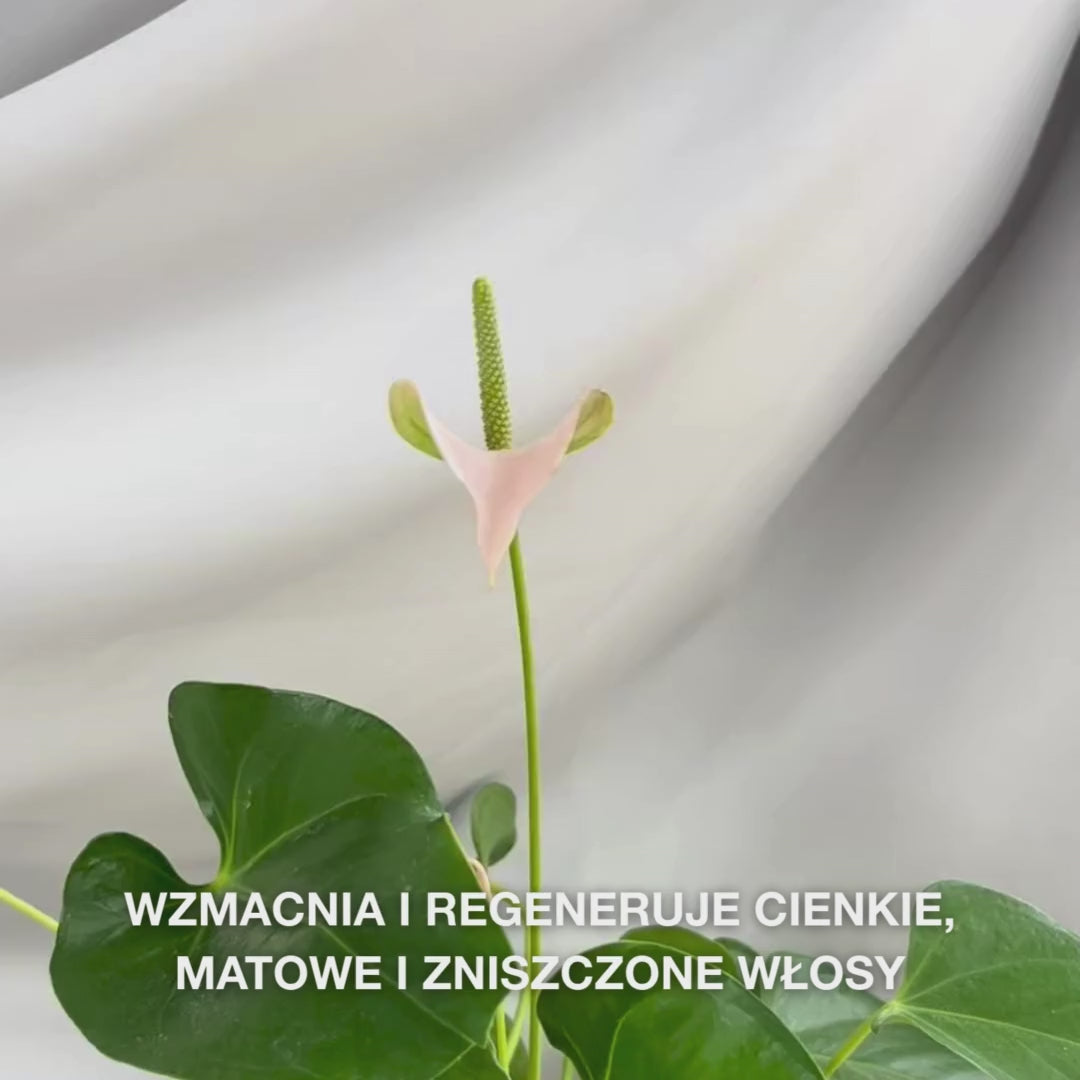 Szampon z witaminą B12 odżywia i chroni suche włosy dzięki efektowi bond. Zawiera witaminę B12, Elaya Renova™ i glicerynę.
